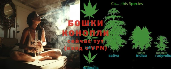 не бодяженный Аркадак