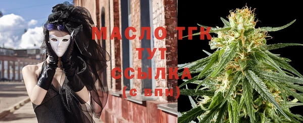 гашик Мегион