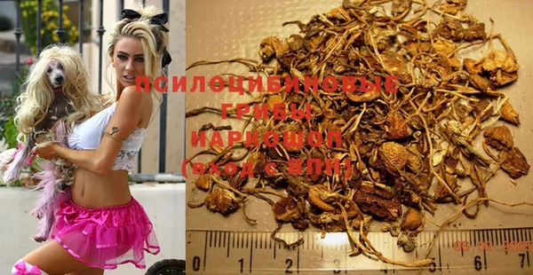 не бодяженный Аркадак