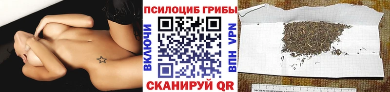 ссылка на мегу сайт  Саяногорск  Псилоцибиновые грибы мицелий 